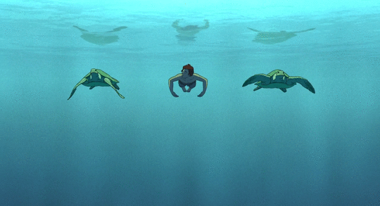 TheRedTurtle-SwimWithTurtles