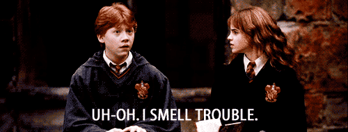 AfraidAnguishedFirebelliedtoad-max-1mb