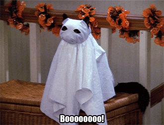 tumblr_nvtg7eX1hr1raqntvo1_400