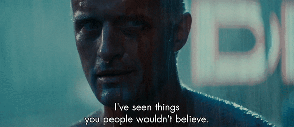 ShortWindyIcelandicsheepdog-size_restricted